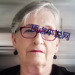 顶点小说网