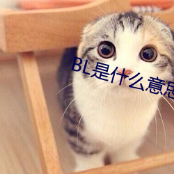BL是(是)什(什)么意(意)思