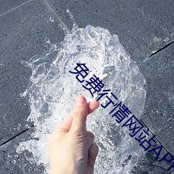 免费行情网站APP