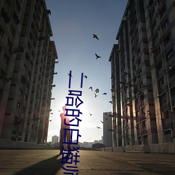 二哈的白貓師尊