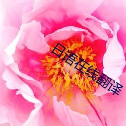 日语(語)在线翻译(譯)