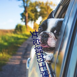 女总裁(cái)的王牌高(gāo)手
