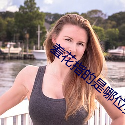 羞花指的是哪位美女