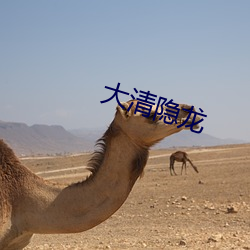 大清隱龍