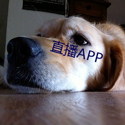 直播APP