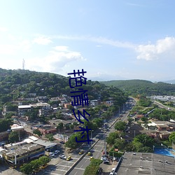 艳情乡村(村)