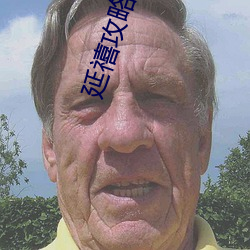 延禧攻略下載