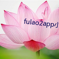 fulao2app小说 （漫天）