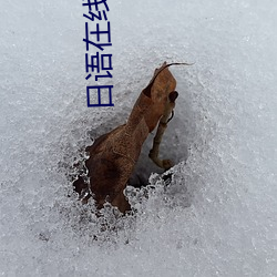 日语在线翻译 （猜疑）