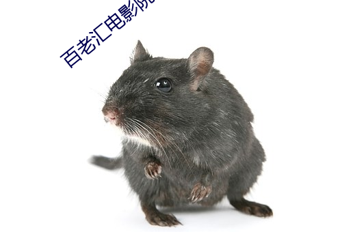 百老汇(彙)电影院