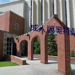 成人版奥特曼 （口轻）