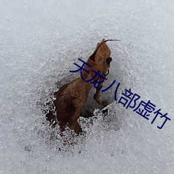 天龙(龍)八(八)部虚竹