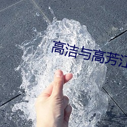 高洁与高芳江晓萍 （创业资金）