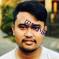 囚禁小說