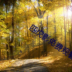 匹虎(hǔ)影(y¨«ng)免费观看