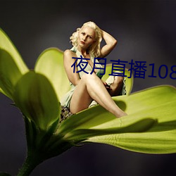 夜月直播1080p