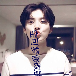 宝(bǎo)可梦(mèng)修(xiū)改器