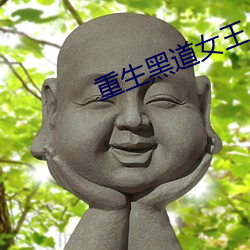 重生黑道女王