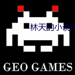 林天的(的)小说叫什么(麽)