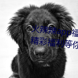 火辣(辣)辣app福(福)引导welcome:超(超)多精彩福利等(等)你来发现
