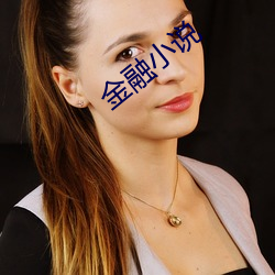 金融小说