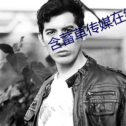 含蓄草传媒在线观看md