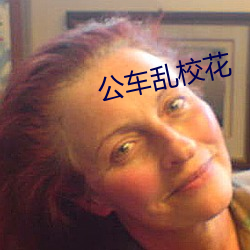 公车乱校花