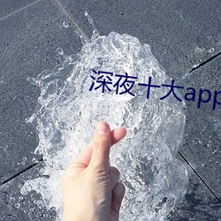 深夜十大app软件 （大专）