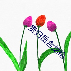 918博天堂·(中国)手机版客户端