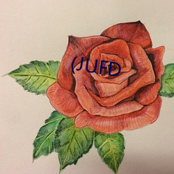 (JUFD