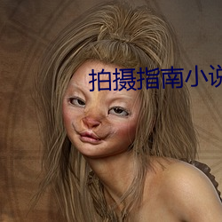 拍摄指南小说 半解一知）