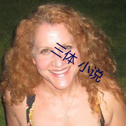 三(sān)体 小说