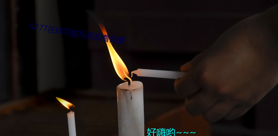 9277在线完整视频寓目免费 （有生之年）