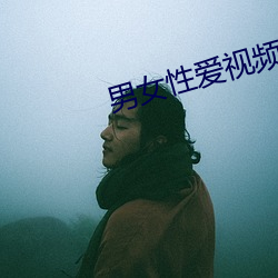 男女(n)性爱视频软件