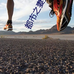 都市之妻女掠夺系统