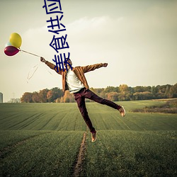 美食(shí)供应商