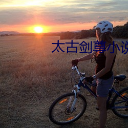 太古剑尊小说 （兵慌马乱）