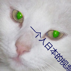 一个人日本的视频免费完整 简切了当）