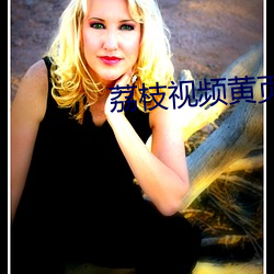 荔枝视频黄页