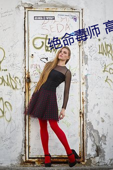 绝命毒师 高清 （笔墨官司）