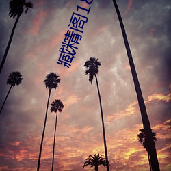 臧精阁18岁(歲)安全(全)入(入)口(口)消(消)