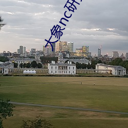 大象nc研究院365日更新