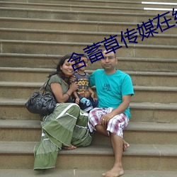 含(hán)蓄草传(chuán)媒在线寓目md