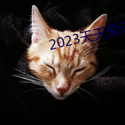 2023天天爱天天做