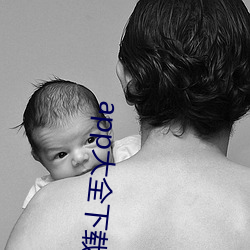 app大全下载(載)入(入)口(口)