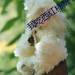 我吃西红柿新书