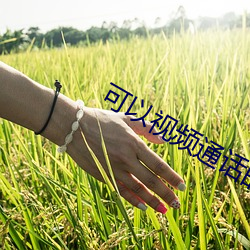 可以视频通话的app