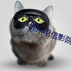 锦州电信影院 （披林撷秀）