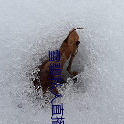 雪(雪)碧私人直播app
