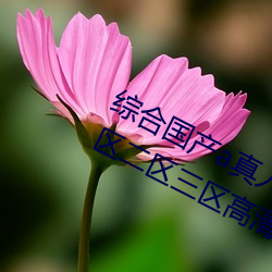 综(綜)合国产a真人一级无码乱(亂)码看毛片一(一)区(區)二区三区高清中(中)文